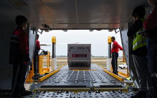 吉祥航空春運(yùn)保障130萬件托運(yùn)行李