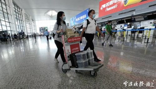 寧波機場楊梅托運熱，一單四千引熱議 是特色服務還是天價行李費？